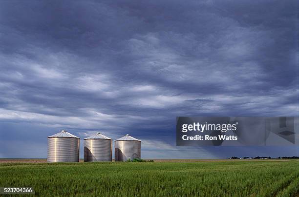 silos in a field under cloudy skies - agrarisch gebouw stockfoto's en -beelden