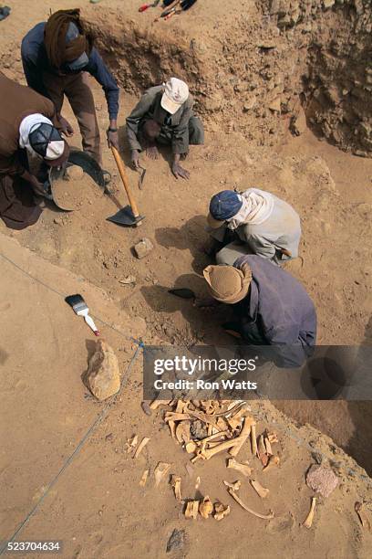archaeologists working at dig site - archaeological dig stock pictures, royalty-free photos & images