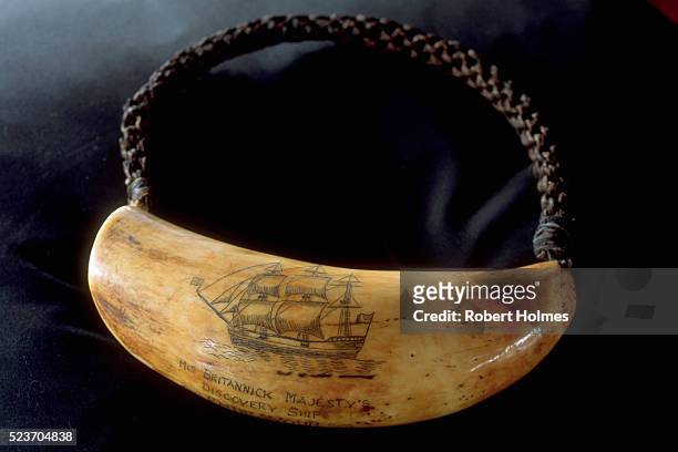 whale tooth strung with rope - wakaya island stock pictures, royalty-free photos & images