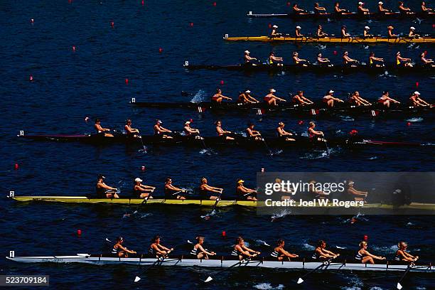 crew race at ncaa collegiate women's rowing championships - rennrudern stock-fotos und bilder