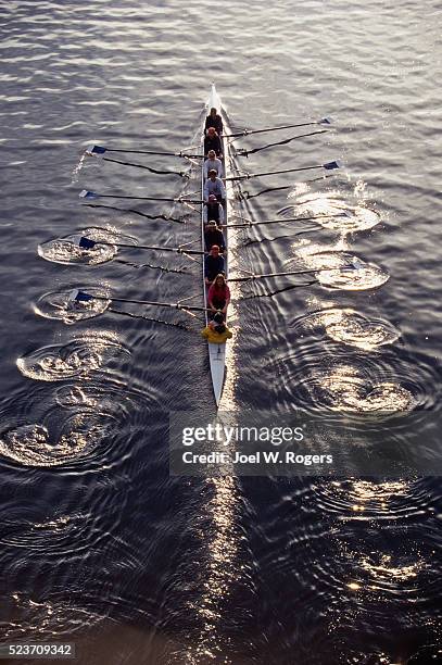 women's racing shell and crew - wrikken roeisport stockfoto's en -beelden