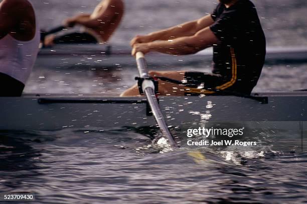 close up of rowers on lake - rennrudern stock-fotos und bilder
