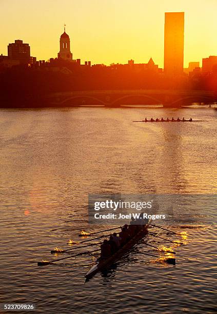 rowing teams practicing at dawn - charles river stock pictures, royalty-free photos & images