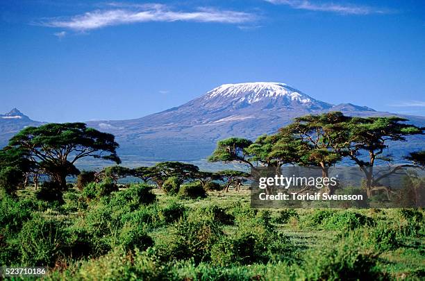 mount kilimanjaro from kenya - kilimanjaro stockfoto's en -beelden