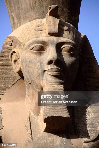 detail of face from colossus of ramesses ii at temple of luxor in thebes - faraón fotografías e imágenes de stock