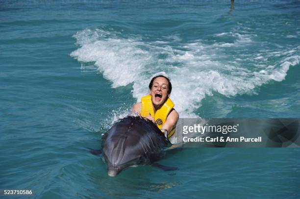 woman riding a dolphin - delfine stock-fotos und bilder