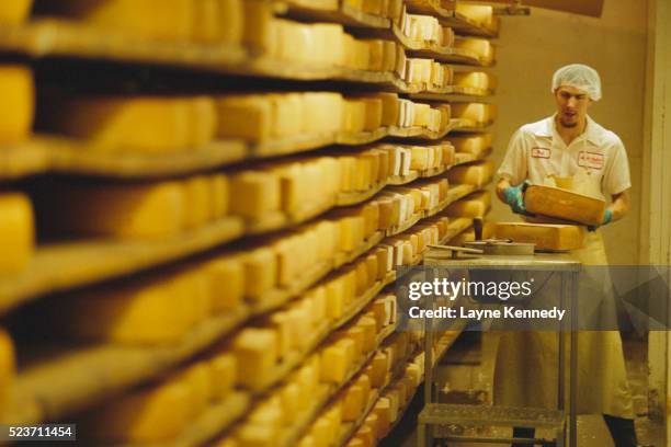 Cheese Case 269 Cheese Case Stock Photos, High-Res Pictures, and Images - Getty Images