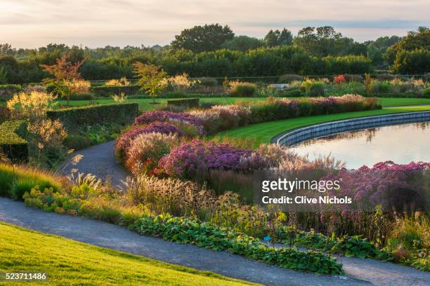 rhs garden, wisley: borders by tom stuart - smith near the lake - september, evening light, stipa gi - stipa stock pictures, royalty-free photos & images