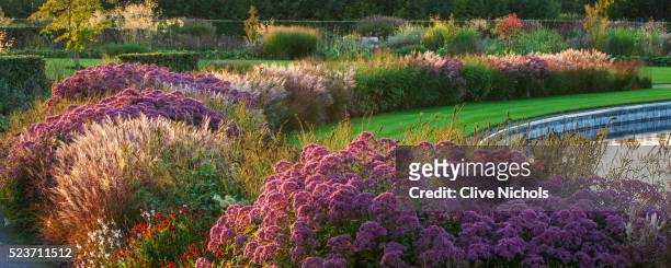 rhs garden, wisley: borders by tom stuart - smith near the lake - september, evening light, stipa, h - stipa stock pictures, royalty-free photos & images
