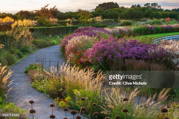 rhs garden, wisley: borders by tom stuart - smith near the lake - september, evening light, stipa, h - stipa stock pictures, royalty-free photos & images