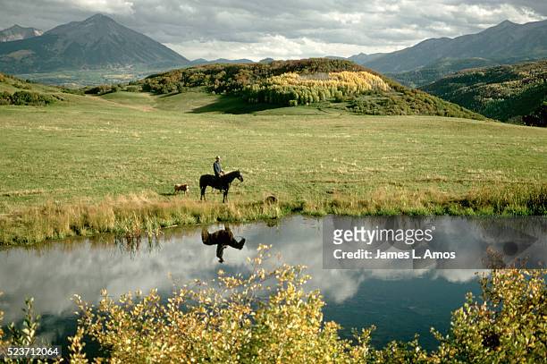 cowboy on horseback at the edge of a pond - archive farms stock pictures, royalty-free photos & images