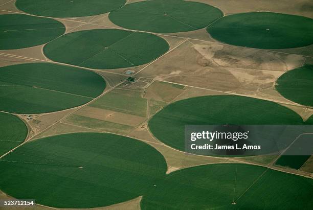 circular crop fields - graancirkel stockfoto's en -beelden