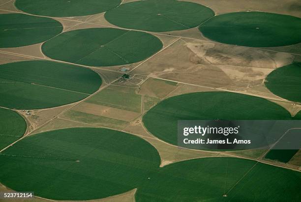 circular crop fields - círculo nas plantações - fotografias e filmes do acervo