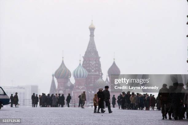 tourists and the cathedral of st. basil in moscow - plaza roja fotografías e imágenes de stock