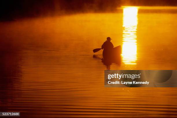 man canoeing at sunrise - boundary waters canoe area stock pictures, royalty-free photos & images