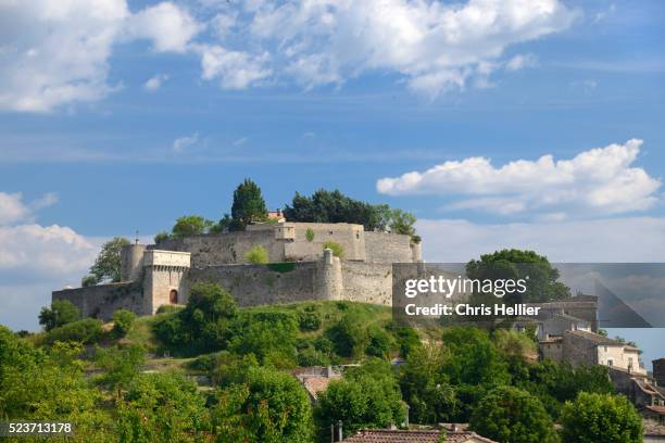mane château alpes-de-haute-provence provence france - animal mane stock pictures, royalty-free photos & images