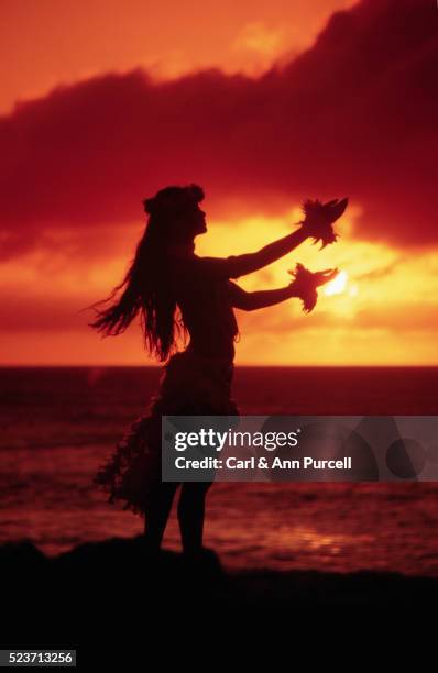 silhouette of hula dancer - hula dancer stock pictures, royalty-free photos & images