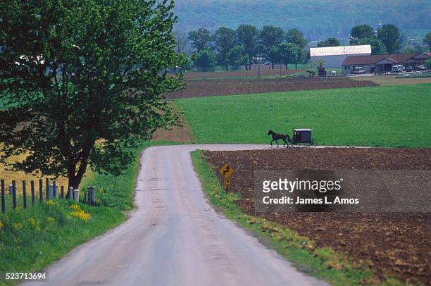 amish buggy traveling farm road - lancaster county pennsylvania fotografías e imágenes de stock