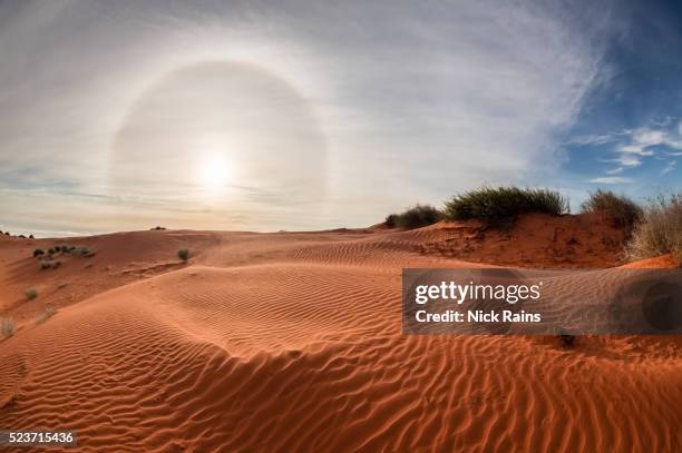 sun halo in sturts stony desert - rippled sand stock pictures, royalty-free photos & images