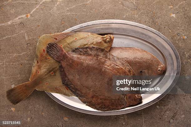 plaice dover sole and lemon sole on metal platter - flounder stock pictures, royalty-free photos & images