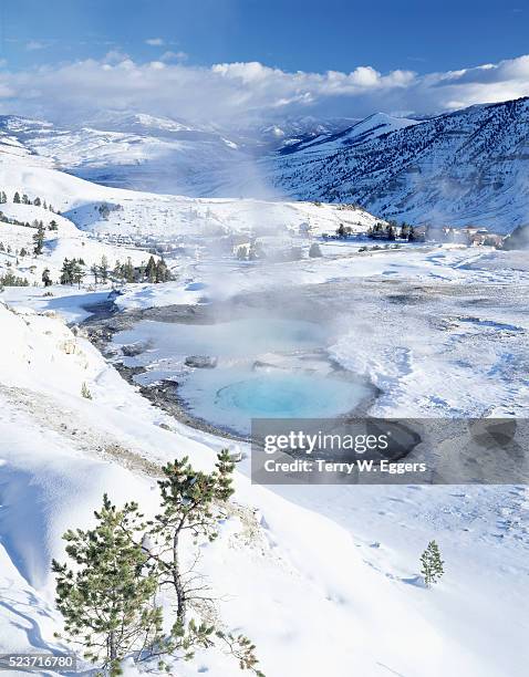 mammoth hot springs in yellowstone national park - mammoth hot springs fotografías e imágenes de stock