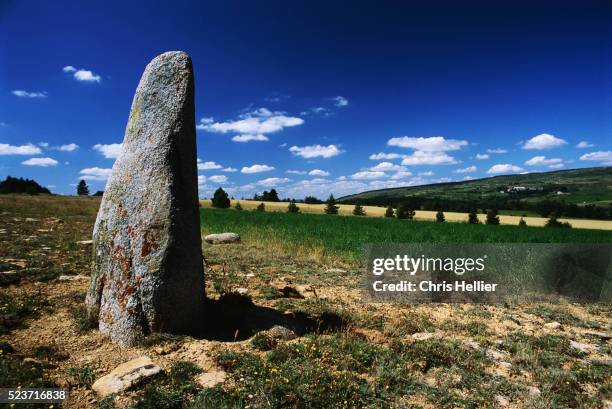 menhir standing in cevennes national park, france - cevennes stock pictures, royalty-free photos & images