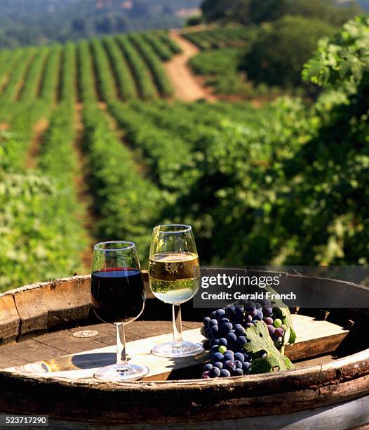 wine glasses and grapes - california vineyard stock pictures, royalty-free photos & images