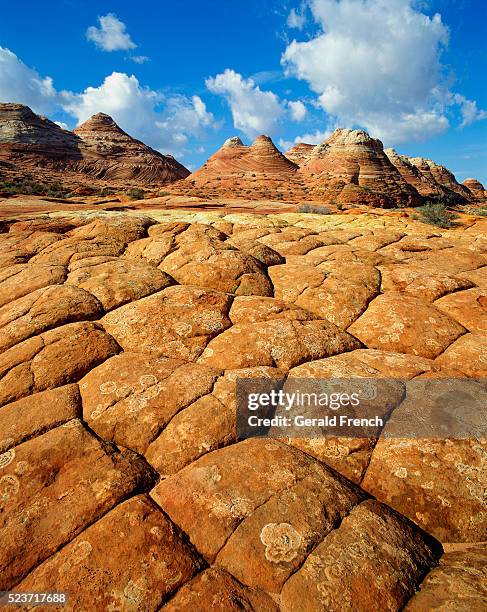 vermilion cliffs wilderness - vermilion cliffs stock-fotos und bilder