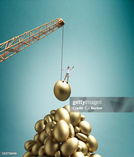 crane - nest egg stock pictures, royalty-free photos & images