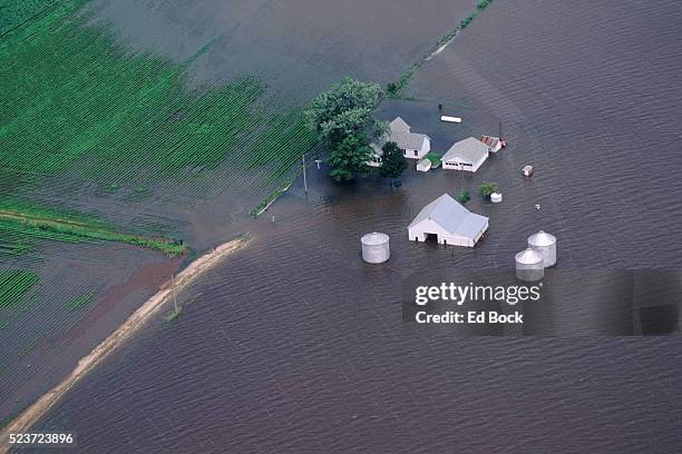 mississippi river flooding farm - översvämmad bildbanksfoton och bilder