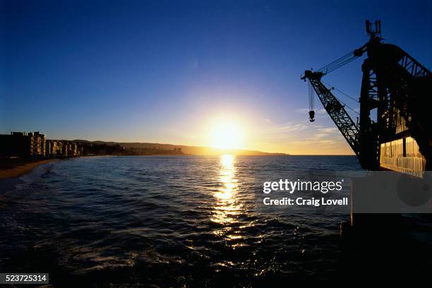 crane at sunset on chilean coast - vina del mar foto e immagini stock