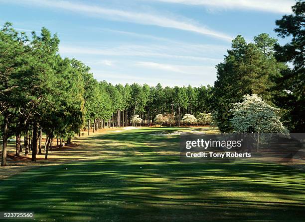 pinehurst resort and country club - pinehurst north carolina stockfoto's en -beelden
