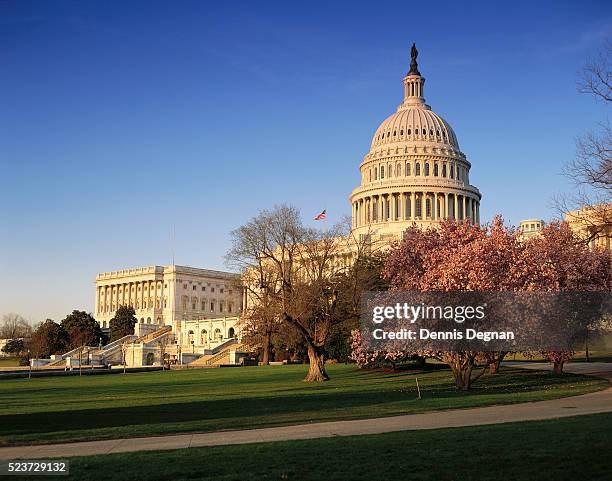 united states capitol - washington dc spring stock pictures, royalty-free photos & images