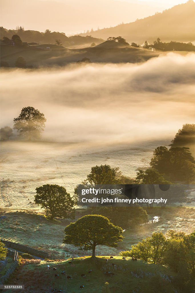 Little Tree, Little Langdale, Lake District