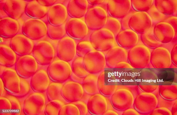 red blood cells - red blood cells stockfoto's en -beelden