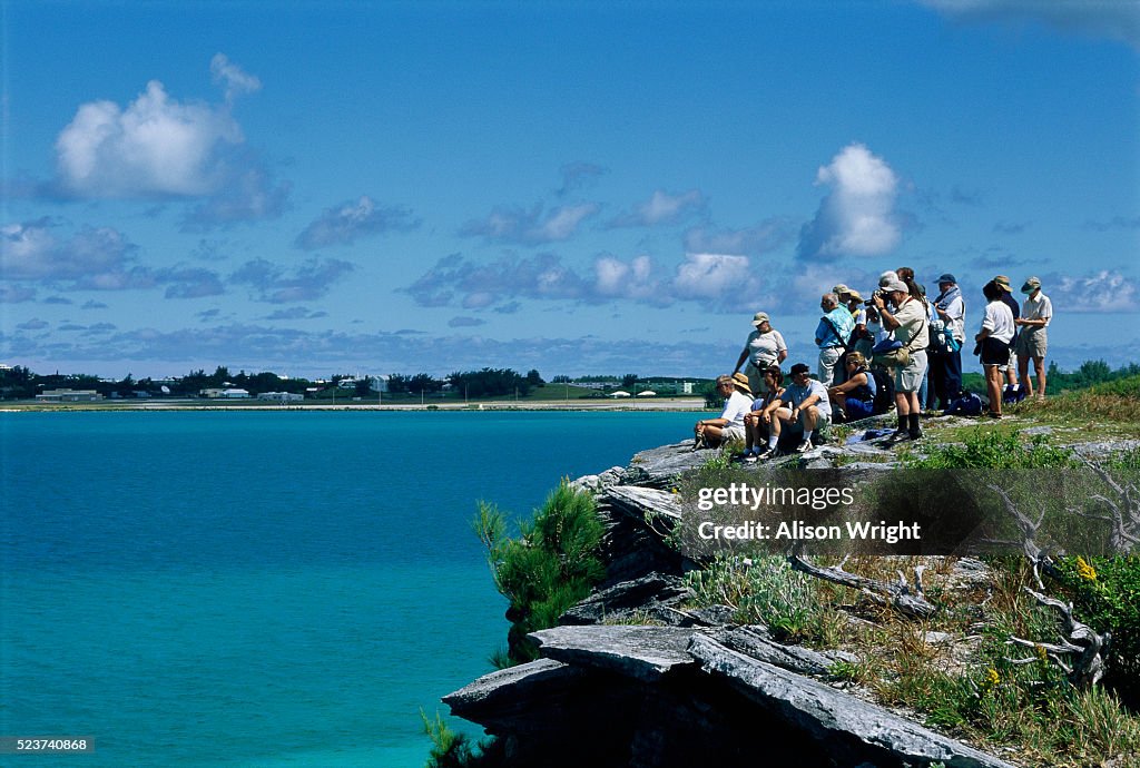 Tourists on Nonsuch Island