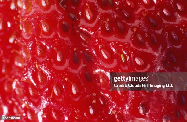 close up of strawberry fruit - strawberry field stock pictures, royalty-free photos & images