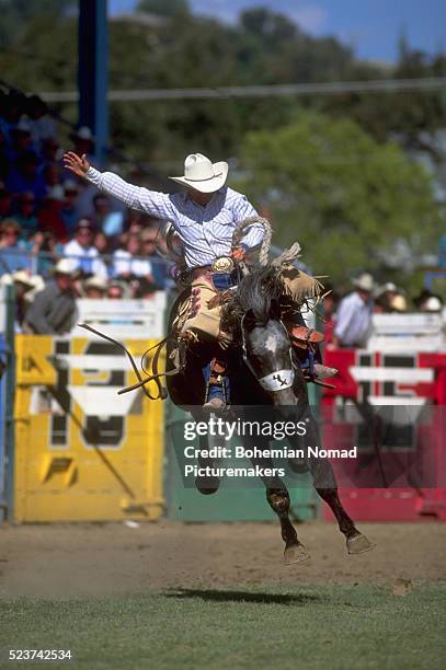 Cowboy Raddon 2,350 Rdo Stock Photos, High-Res Pictures, and Images - Getty Images