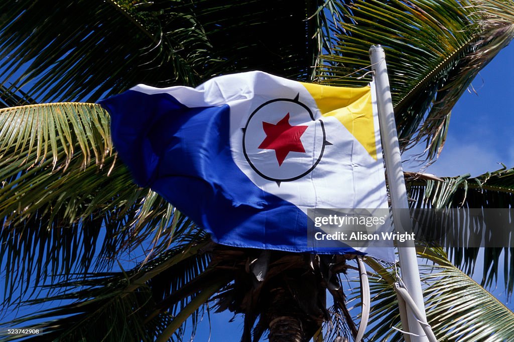 Bonaire Flag Flying near Palm Fronds