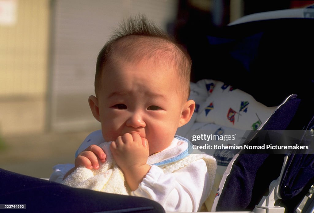 Baby Riding Roster Tokyo Baby Riding In Stroller High-Res Stock Photo - Getty Images