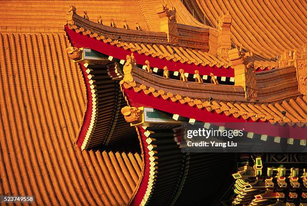 peaked roof with yellow tiles, forbidden city - forbidden city stock pictures, royalty-free photos & images