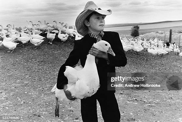 hutterite boy with goose - hutterite stock-fotos und bilder