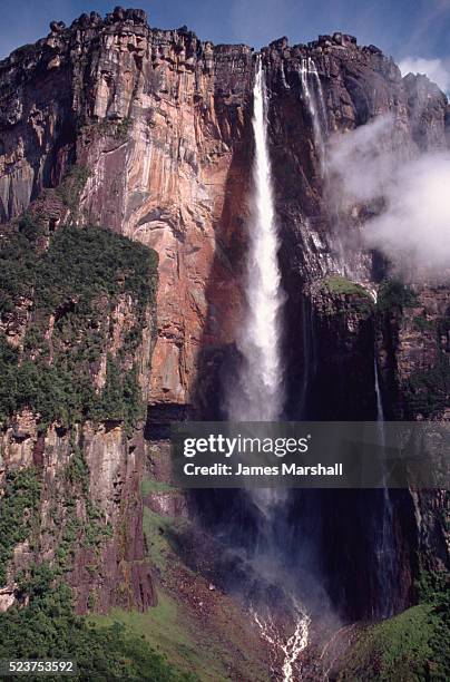 angel falls cascading down auyantepui - angel falls stock pictures, royalty-free photos & images