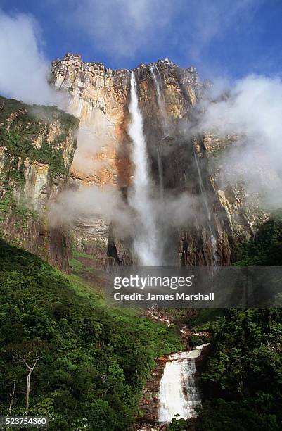 angel falls - angel falls stock pictures, royalty-free photos & images