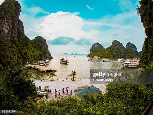 ha long bay, vietnam - halong bay vietnam stock pictures, royalty-free photos & images