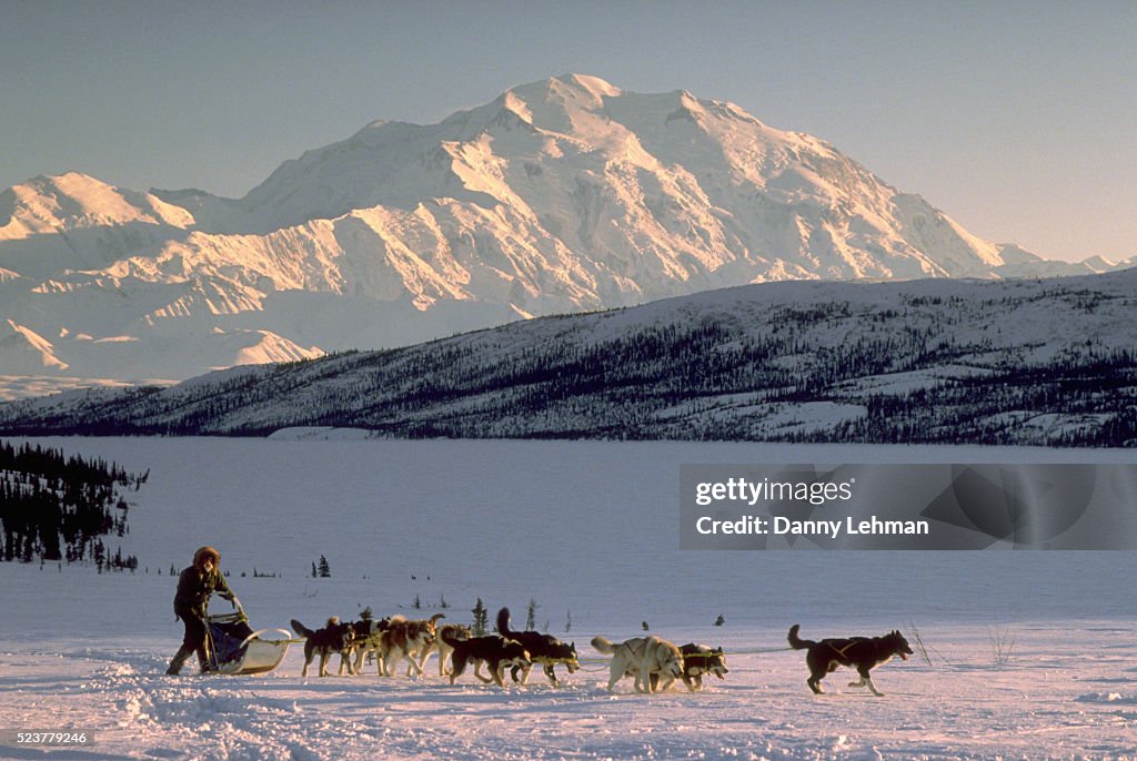Dog Sledding Under Mount McKinley