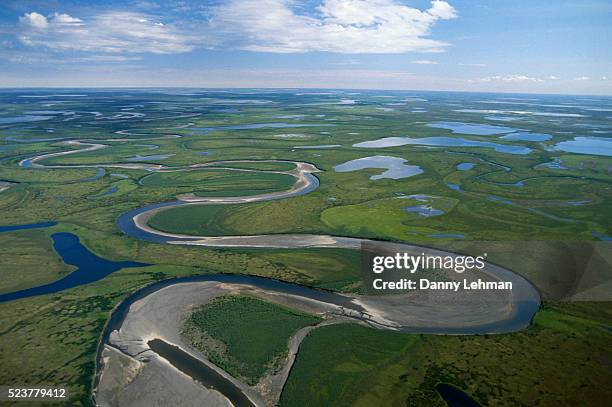 tundra in alaska - pantano zona húmeda fotografías e imágenes de stock