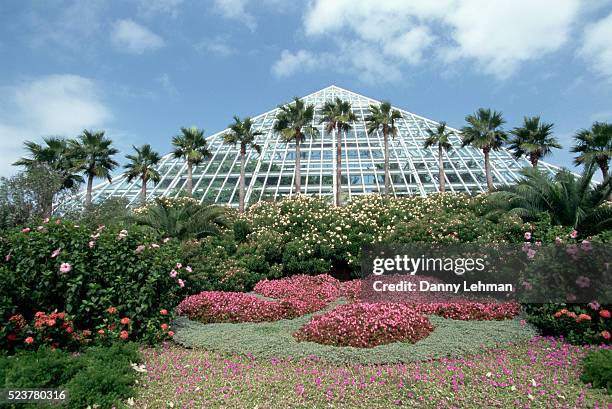 moody gardens - galveston texas stock pictures, royalty-free photos & images