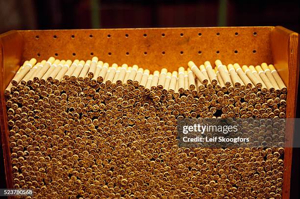 cigarettes burning Burning Cigarette PNGs for Free Download cigarettes burning Burning Cigarette PNGs for Free Download