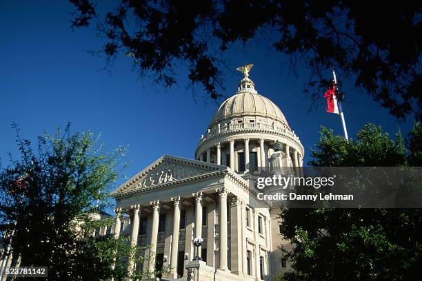 mississippi state capitol exterior - jackson mississippi stock pictures, royalty-free photos & images